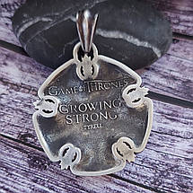 Кулон золотая роза Игра Престолов дом Тиреллы бронза+посеребрение, фото 5