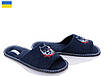 Хатні капці чоловічі відкриті сині PaGo пітбуль 41 розмір, фото 2
