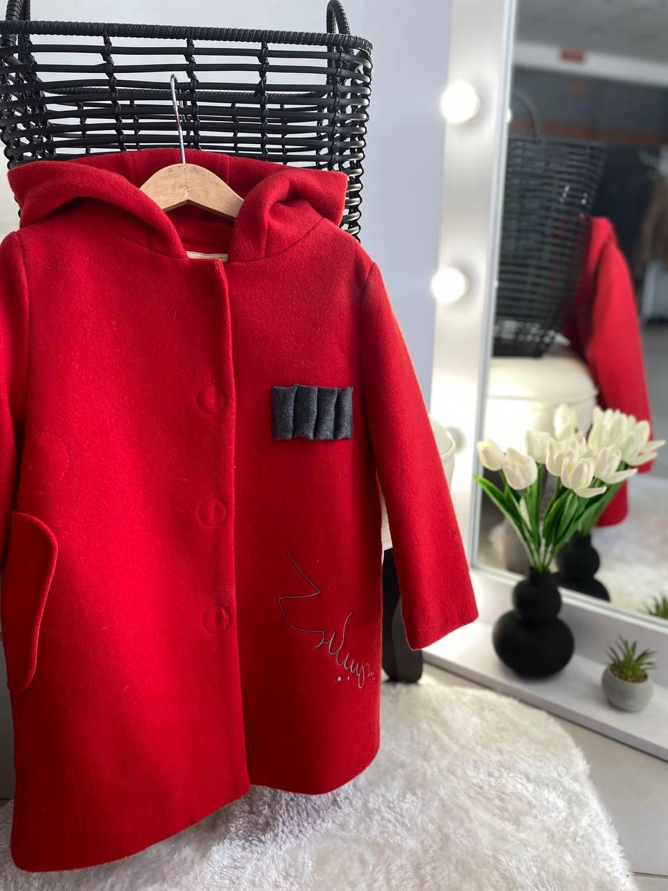 Пальто демісезонне на дівчинку з капюшоном D-691, Червоний, Для дівчаток, Весна Осінь, 98, фото 1