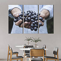 Модульная картина триптих на холсте KIL Art Сочный виноград 156x100 см (312-31) z111-2024