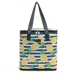 Термосумка Cooling Bag DT 4243 am