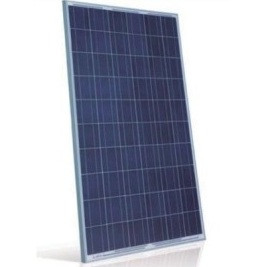 Сонячна панель 260 Вт полікристал Jinko Solar JKM260P