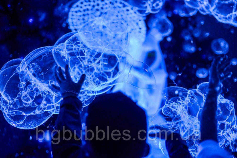 4617985225_w1280_h640_kontsent