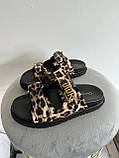 Жіночі шльопанці Dior Slides Multicolor Leopard Black KCQ719LNY S29X, фото 3