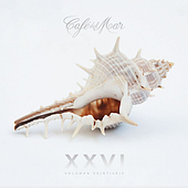 Cafe Del Mar – XXVI (Vol. 26) (2cd) (2020) (CD Audio)