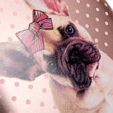 Рюкзак шкільний каркасний 1Вересня H-29 Dolly Dog, фото 6