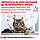 Royal Canin Sensitivity Control (Сенсітивіті Контрол) корм для кішок при харчовій алергії, 1.5 КГ, фото 5