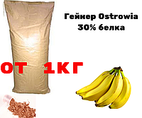 Гейнер Ostrowia (30% протеїну) -- 1000грамм [ на вагу Гейнер,купити на вагу, гейнер худим ] - смак: Банан