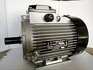 Двошвидкісний електродвигун АІР 100 L4/2  4,0/4,75 кВт-1500/3000 об.хв