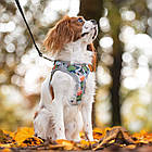 Шлея для собак нейлонова XS 30-33 см Croci HIKING REFLECTIVE хакі арлекін, фото 5