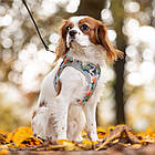 Шлея для собак нейлонова XS 30-33 см Croci HIKING REFLECTIVE хакі арлекін, фото 4