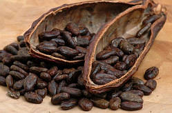 Какао терте 0.5 кг