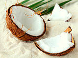 Олія кокоса органік, нерафінована 100 г, фото 2