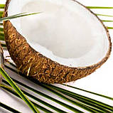 Олія кокоса органік, нерафінована 100 г, фото 3
