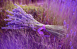 Гідролат лаванди 1 л