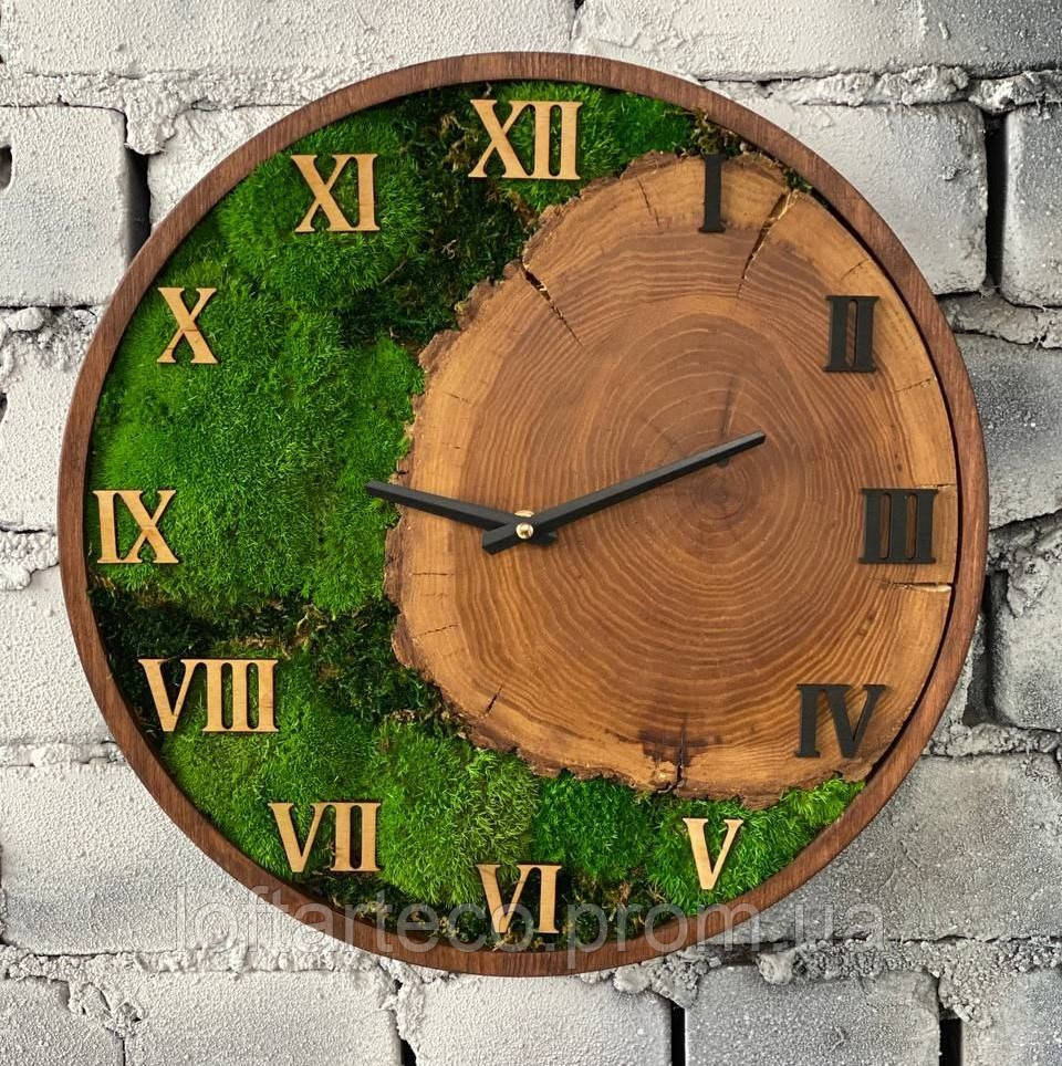 Декоративные часы,часы с дерева,часы со спилом,часы со стабилизированным мхом,часы настенные со мхом,эко часы - фото 3 - id-p1874619420
