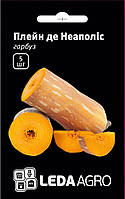Семена тыквы Плейн де Неаполіс, 5 шт., батернат тип, ТМ "ЛедаАгро"