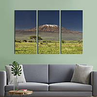 Модульная картина на холсте KIL Art триптих Гора Килиманджаро - корона Африки 128x81 см (544-31) z111-2024