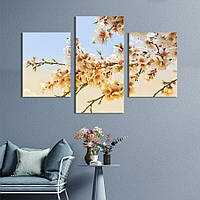 Картина з трьох панелей KIL Art триптих Білі квіти сливи 141x90 см (888-32) D7P5-2023