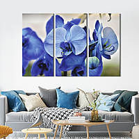 Модульная картина на холсте из 3 частей KIL Art триптих Редкая синяя орхидея 128x81 см (904-31) z111-2024