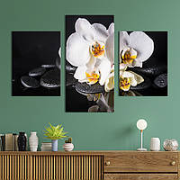 Картина на холсте KIL Art для интерьера в гостиную Орхидеи на дзен-камнях 141x90 см (68-32) z111-2024