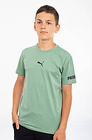 Чоловіча футболка Puma (по центру+рукав) св.оливка