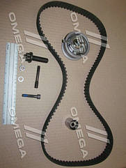 Комплект ременя ГРМ VW PASSAT (3B2) 1.9 TDI 08/96 - 12/01 (Вир-во INA) 530 0343 10 UA26