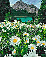 Картина по номерам "Ромашки у гор" 40x50 3v1 Рисование Живопись Раскраски (Цветы)
