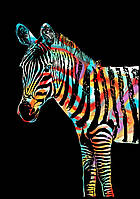 Скретч картина "Zebra" (Зебра) 41x29