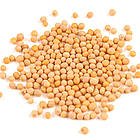 Гірчиця Біла на сидерат 50 кг.