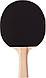 Ракетка для настільного тенісу Giant Dragon Guard 2* (ST12201P40+), фото 3