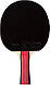 Ракетка для настільного тенісу Giant Dragon Taichi 3* (ST12304P40+), фото 2