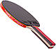 Ракетка для настільного тенісу Giant Dragon Taichi 3* (ST12304P40+), фото 4