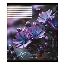 Зошит 60 арк. клітинка "Бріск" / Чудеса, фото 2