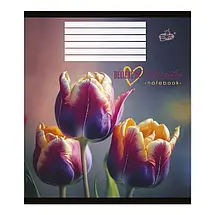 Зошит 60 арк. клітинка "Бріск" / Чудеса, фото 5