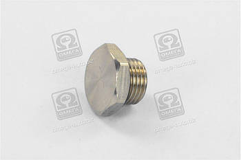 Різьбова пробка з кільцем ущільнювача M16x1,5 (RIDER) RD 99.01.91 UA53