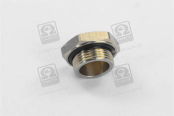 Заглушка з кільцем ущільнювачем M22x1.5 (метал) (RIDER) RD 99.01.93 UA53