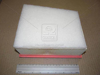 Фільтр повітряний RENAULT MEGANE IV, ESPACE V 15- (вир-во WIX-FILTERS) WA9832 UA53
