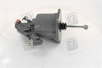 ПГУ зчеплення 1000178631AM (125 MM) (RIDER) RD 19.157.87 UA53