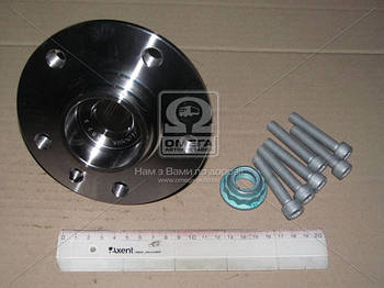 Маточина з підш. VW T5, MULTIVAN задн. (Вир-во SNR) R154.58 UA53