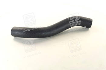 Патрубок радіатора верхній Hyundai Accent/Solaris 10-/Kia Rio 11- (вир-во Mobis) 254111R150 UA53