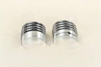 Вкладиші корінні RENAULT HL 0,25 G8T/G9T/G9U 2,2/2,5TD (вир-во Mahle) 021 HS 20297 025 UA53