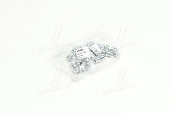 Прес-маслянка М8х1x45 кутова (10шт) (RIDER) RD-0017 UA53
