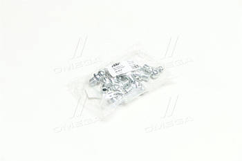 Прес-маслянка М8х1х90 кутова (10шт) (RIDER) RD-0018 UA53
