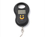 Ваги-кантер цифрові для риболовлі, кухні, багажу Ebalance S11 (±10g/50kg) з термометром, підсвічуванням, фото 4