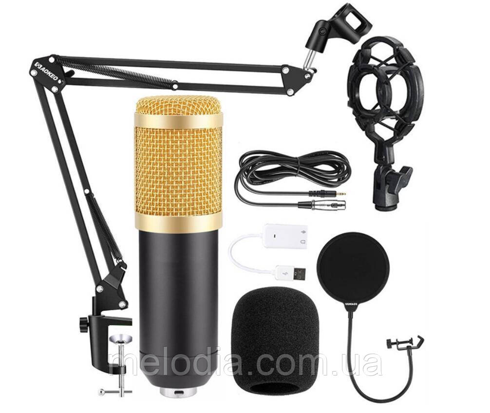 Мікрофон для підкастингу HL AUDIO BM-800