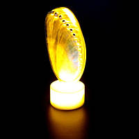 Светильник-ночник из натуральной ракушки холиотис пулчерина на светодиодной подставке размер: высота-10/11см,