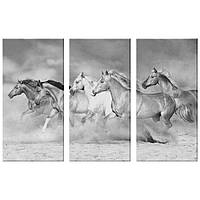 Модульная картина из трех частей KIL Art Табун лошадей 156x100 см (M3_XL_5) z111-2024