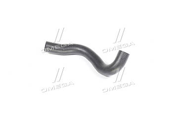 Патрубок радіатора верхній Шевроле Лачетті 1,6 Р96553267 DK.96553267 UA53