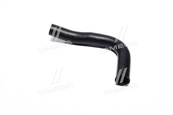 Патрубок радіатора верхній CHEVROLET LACETTI 1,8 DK.96419282 UA53